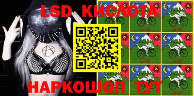 шишки Камышлов