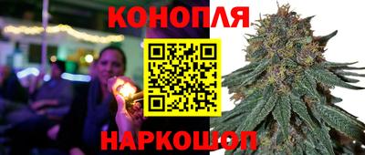 jwh Кандалакша