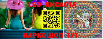 шишки Камышлов