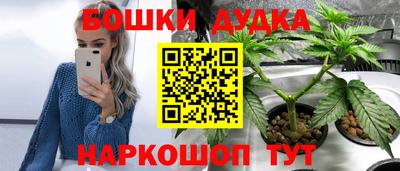 jwh Кандалакша